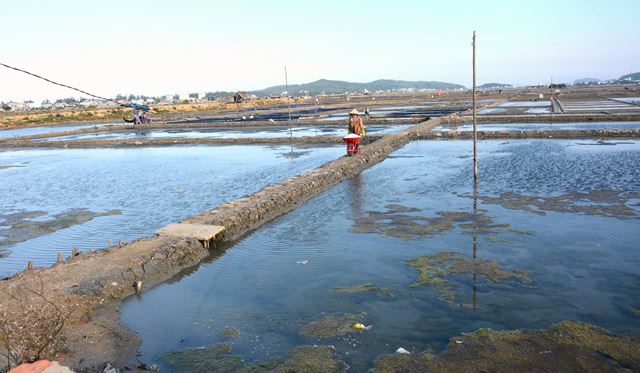 Muối Sa Huỳnh, được giá mất mùa