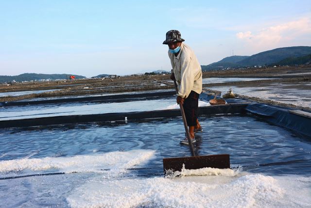 Tranh thủ có nắng diêm dân ra đồng thu hoạch muối . Tranh thủ có nắng diêm dân ra đồng thu hoạch muối .