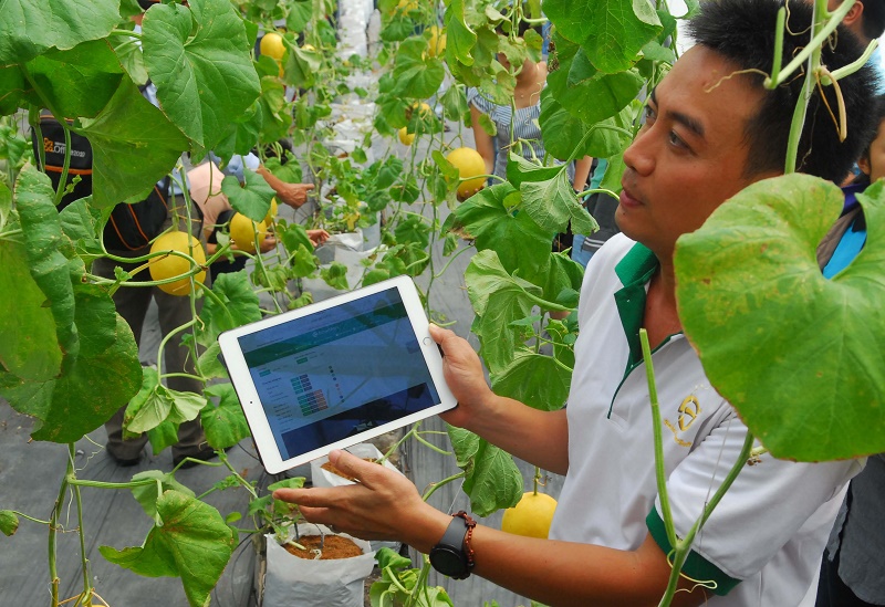 Phát triển nông nghiệp ứng dụng công nghệ cao