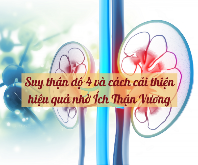 Suy thận độ 4 và cách cải thiện hiệu quả nhờ Ích Thận Vương