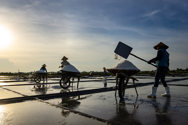 Cách TP. Vinh chừng 70km về phía bắc, xã Quỳnh Thuận (huyện Quỳnh Lưu) nổi tiếng với nghề làm muối lâu đời