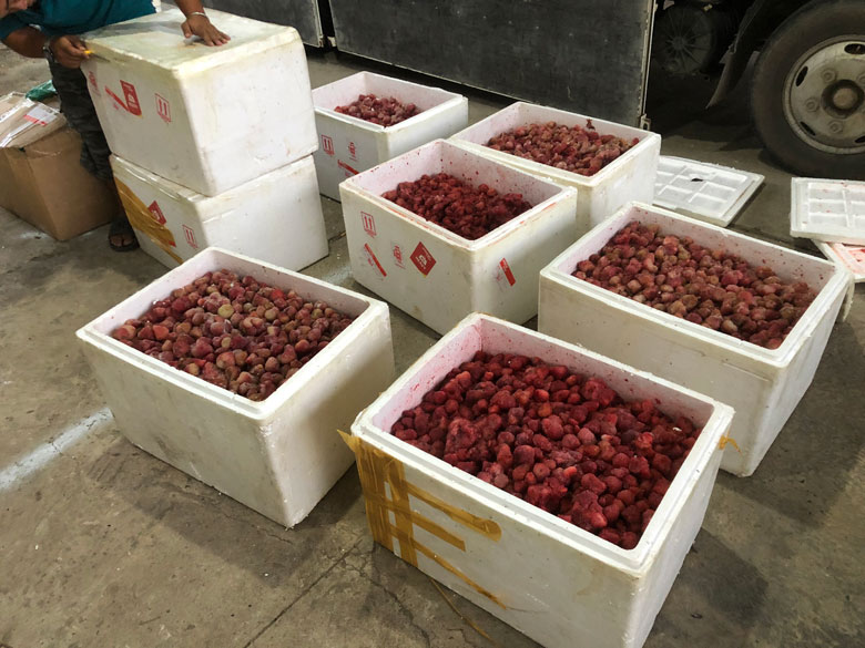 8 thùng dâu tây không rõ nguồn gốc xuất xứ bị thu giữ