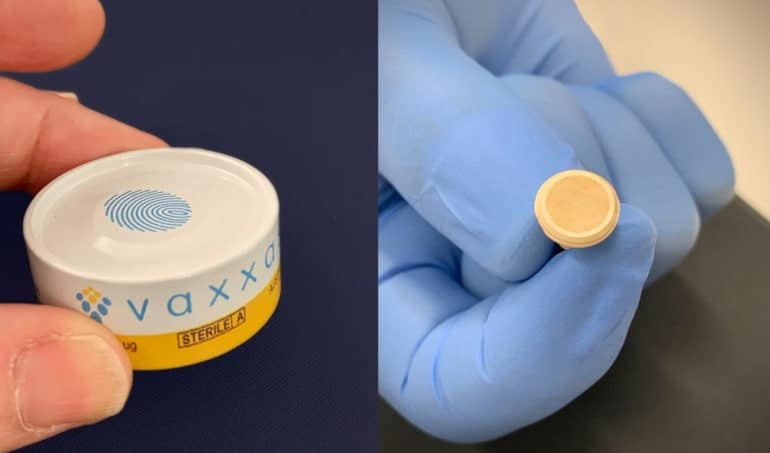 Cuộc thử nghiệm đối với vaccine Covid-19 Hexapro dạng dán của Đại học Texas (Mỹ) đã cho thấy những kết quả tích cực. (Nguồn: University of Queensland)