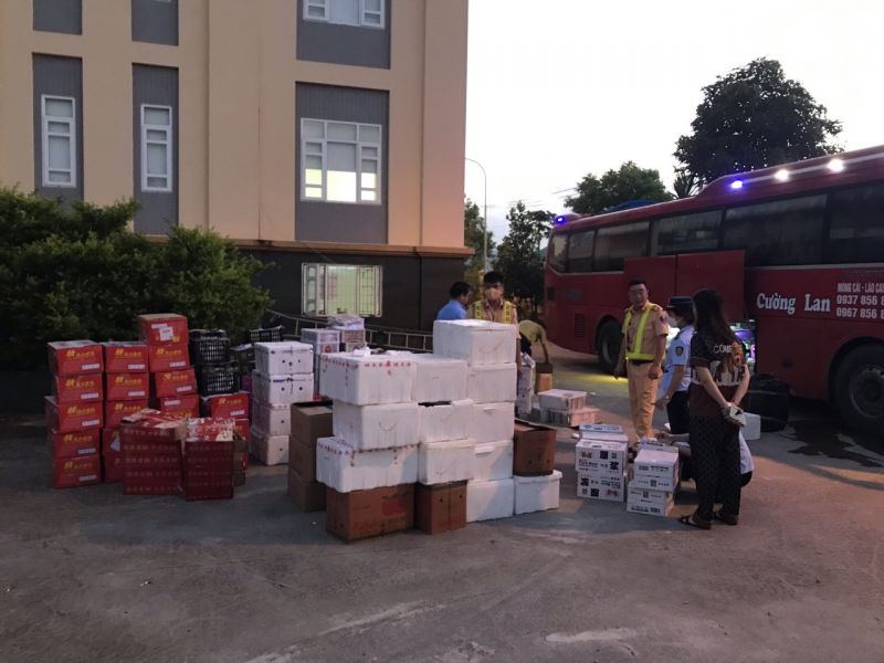 Hơn 700kg hoa quả, thực phẩm không rõ nguồn gốc xuất xứ vừa bị lực lượng CSGT Công an tỉnh Quảng Ninh phát hiện và bắt giữ