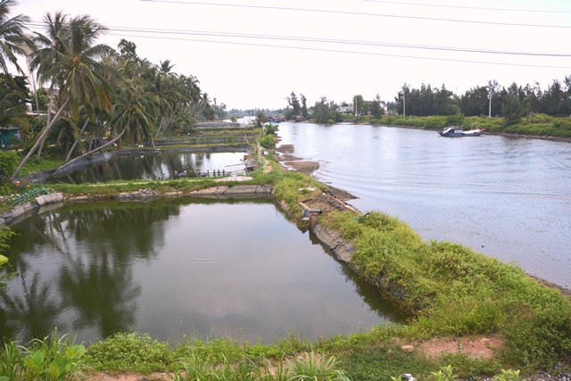 Tình trạng xây dựng hồ nuôi tôm trái phép ở thôn Mỹ Lại, Tịnh Khê, TP. Quảng Ngãi .