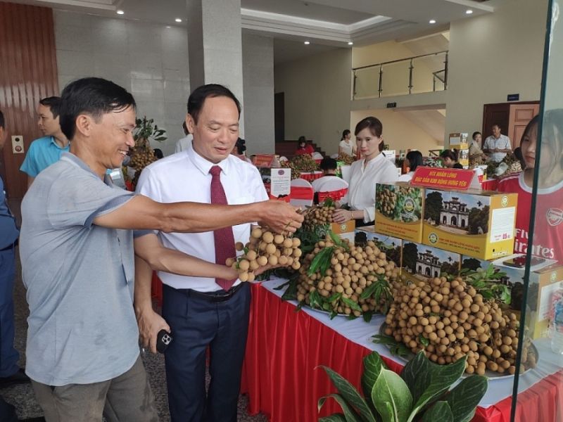 UBND tỉnh Hưng Yên cũng tiến hành khởi động chương trình 