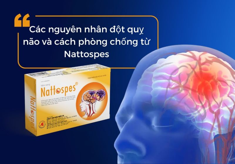Các nguyên nhân đột quỵ não và cách phòng chống từ Nattospes