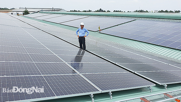 Trong hình là công trình điện mặt trời mái nhà trên mái nhà xưởng tại Khu công nghiệp Tam Phước