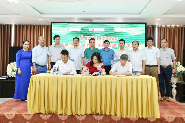 Các bên ký biên bản ghi nhớ hợp tác nghiên cứu và phát triển sâm Bố Chính Quảng Bình.