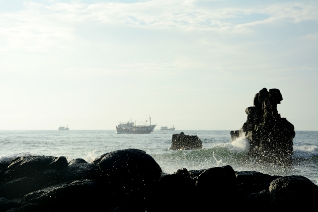 Thạch Ky Điểu Tẩu - Một trong 12 cảnh đẹp ở Quảng Ng&atilde;i