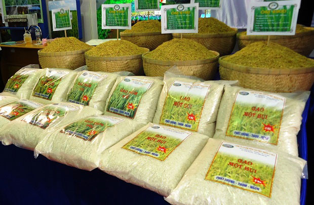 Gạo Việt Nam xuất khẩu. Ảnh minh họa internet
