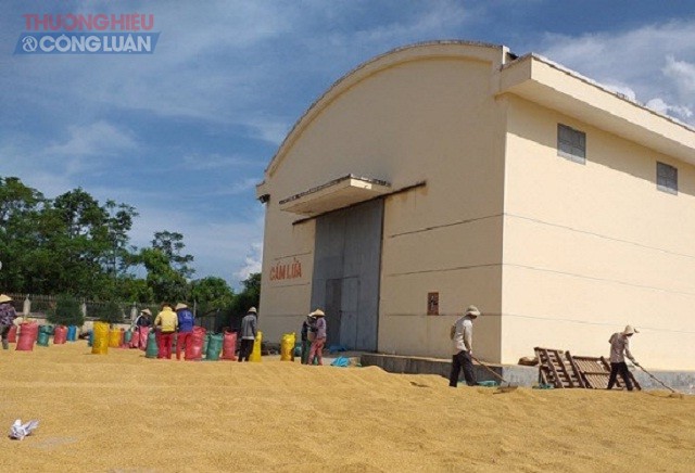 Cục Dự trữ Nhà nước khu vực Nghĩa Bình là đơn vị đảm nhiệm việc phân bổ gạo hỗ trợ người dân Bình Định. Trong ảnh: Một góc nhà kho dự trữ lúa gạo của Cục Dự trữ Nhà nước khu vực Nghĩa Bình.