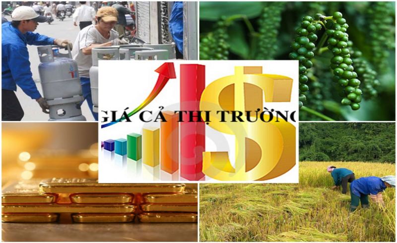 Dự thảo Luật Giá sửa đổi có nhiều điểm không khớp, chưa thuyết phục