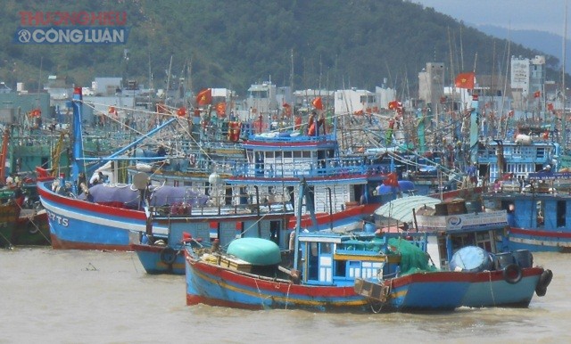 Trên địa bàn tỉnh Bình Định hiện có 03 tụ điểm nghề cá tập trung tại các cửa biển, gồm: Cảng cá Quy Nhơn, Cảng cá Đề Gi, Cảng cá Tam Quan. Trong ảnh: Một góc khu neo đậu tàu Cảng cá Đề Gi, huyện Phù Cát, tỉnh Bình Định.