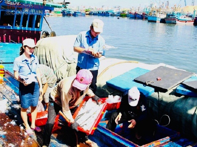 Cán bộ Cảng cá Quy Nhơn kiểm tra tính hợp pháp của sản phẩm hải sản.