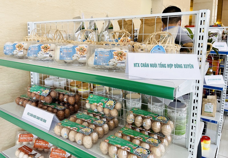 Một số sản phẩm đặc trưng, sản phẩm OCOP của tỉnh Thái Bình