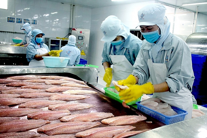 Thị trường Trung Quốc vẫn là trụ cột cho ngành xuất khẩu cá tra Việt Nam