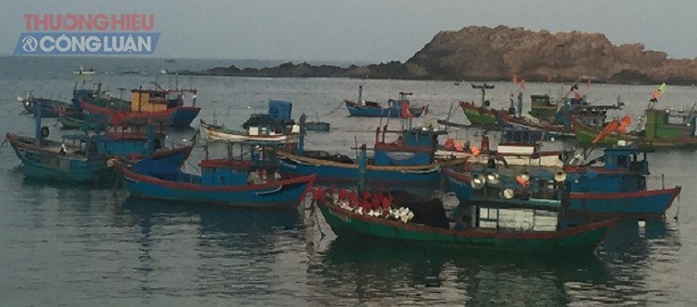 Tàu thuyền của ngư dân xã Nhơn Hải, TP Quy Nhơn đã tập kết về khu neo đậu an toàn.