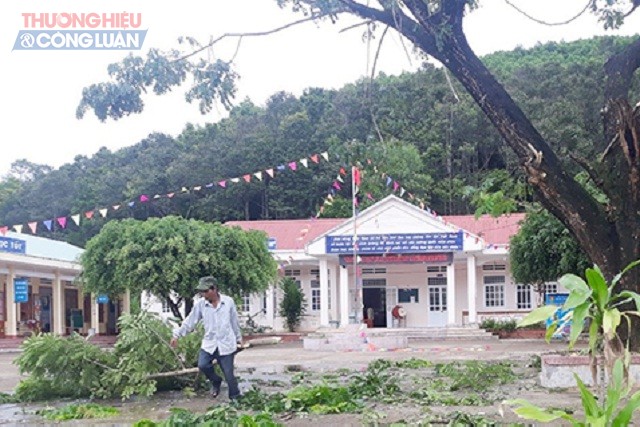 Nhiều trường học trên địa bàn tỉnh Bình Định nỗ lực triển khai công tác chuẩn bị chủ động ứng phó với bão số 04. Trong ảnh: Trường Tiểu học Canh Liên (huyện Vân Canh) chủ động cắt tỉa cây trong khuôn viên trường học.