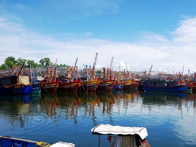 Hơn 6.000 tàu thuyền với hơn 19.000 lao động ở Quảng Bình đã vào nơi tránh trú an toàn.