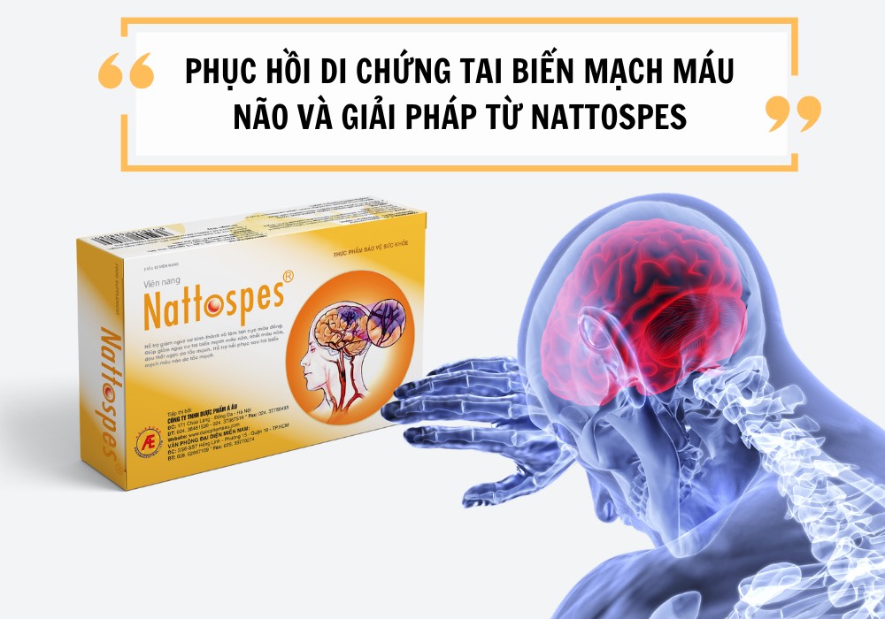 Cách phục hồi di chứng tai biến mạch máu não và giải pháp từ Nattospes