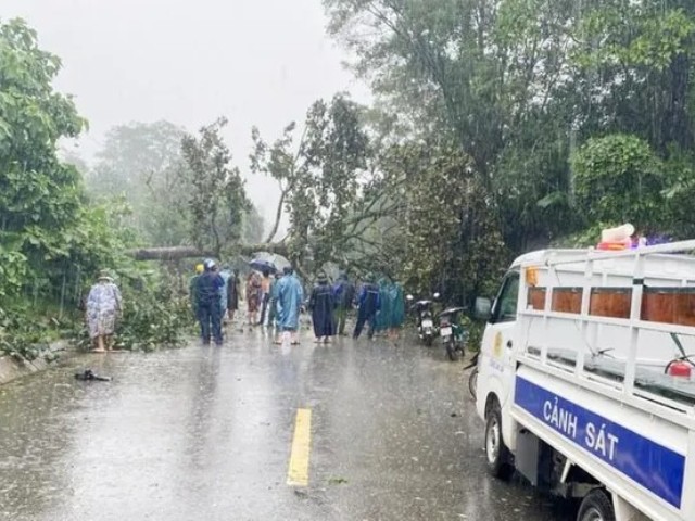 Lực lượng chức năng dọn dẹp cây đổ do bão số 4 tại Km309, thuộc quốc lộ 14 địa phận xã A Bung, huyện miền núi Đakrông.