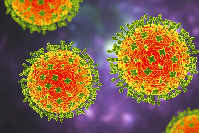 Virus "Langya" là một phần của họ henipavirus, trong đó có hai loài đã được xác định trước đó - virus Hendra và virus Nipah
