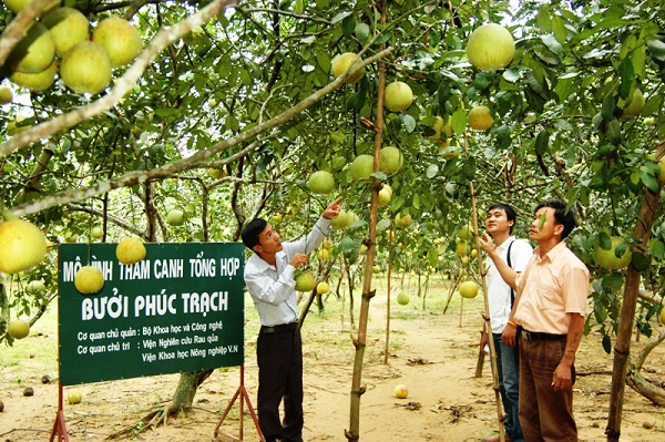 Agribank Hà Tĩnh đồng hành hỗ trợ người dân xóa đói giảm nghèo