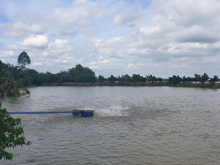 Agribank đồng hành phát triển bền vững Đồng bằng sông Cửu Long