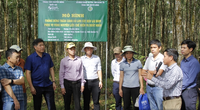 Cán bộ lãnh đạo Trung tâm Khuyến nông Quốc gia kiểm tra mô hình trồng rừng thâm canh gỗ lớn cây keo lai hom phục vụ vùng nguyên liệu chế biến và xuất khẩu tại huyện Cam Lộ, tỉnh Quảng Trị. Mô hình này đang cho kết quả rất tốt