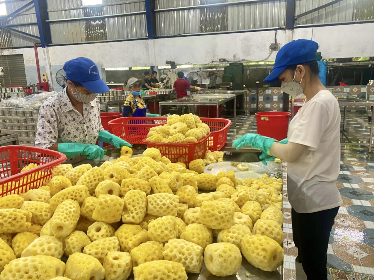 Công nhân làm việc tại Công ty xuất khẩu nông sản Việt, TP Thanh Hoá