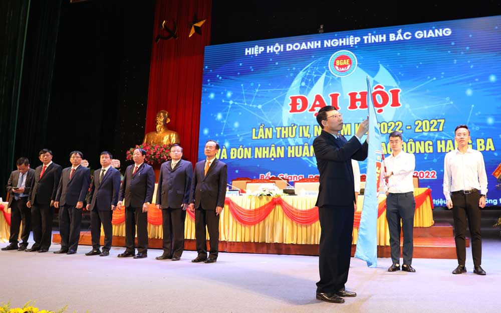 Thừa ủy quyền của Chủ tịch nước, ông Lê Ánh Dương trao Huân chương Lao động hạng Ba cho Hiệp hội DN tỉnh
