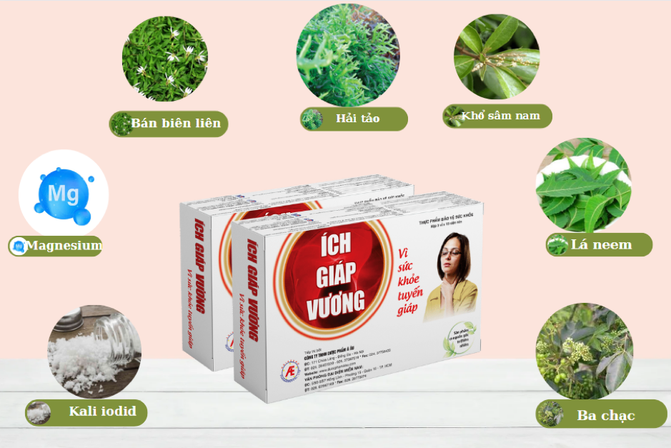 Ích Giáp Vương giúp bình ổn hormone tuyến giáp, cải thiện cường giáp hiệu quả