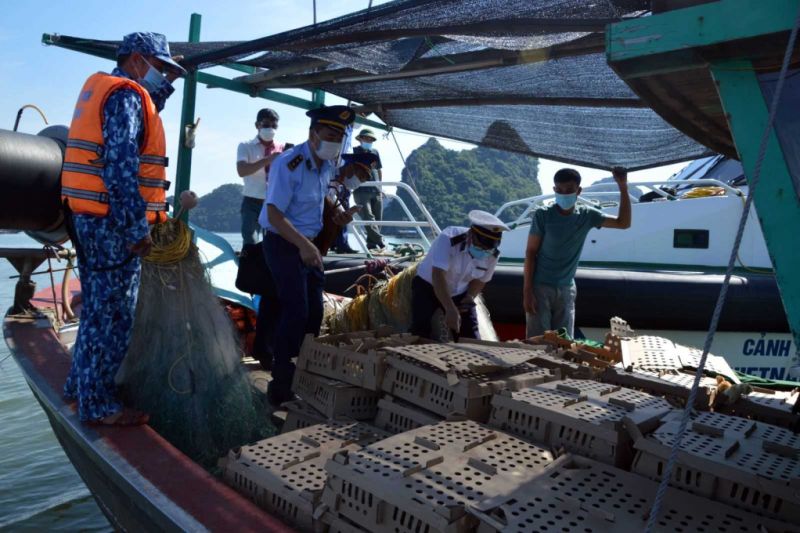 Lực lượng chức năng huyện Vân Đồn kiểm tra phương tiện vận chuyển hàng hóa trên vùng biển của địa phương