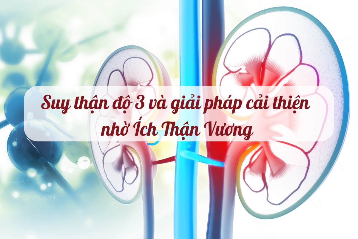 Suy thận độ 3 và giải pháp cải thiện nhờ Ích Thận Vương