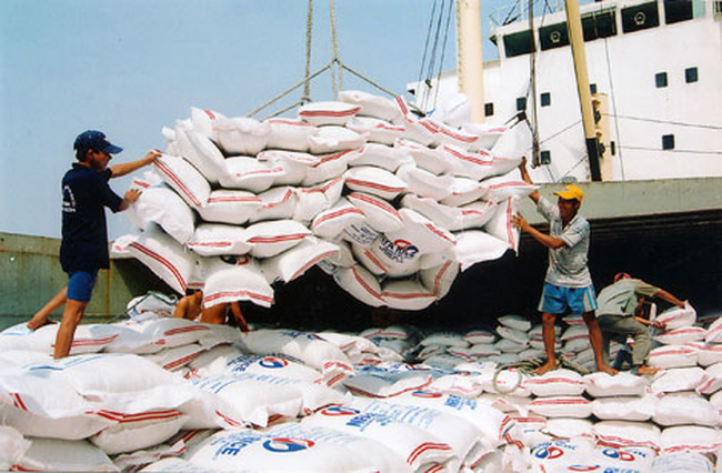 Giá gạo xuất khẩu của Việt Nam vẫn ở mức ổn định cao. Ảnh minh họa internet