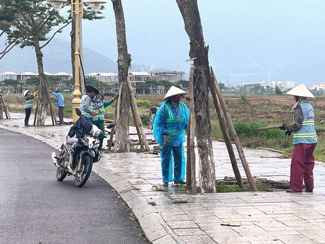 Công nhân thuộc Công ty Trung Nam Land dựng cây phòng, chống bão vào Công nhân thuộc Công ty Trung Nam Land dựng cây phòng, chống bão vào
