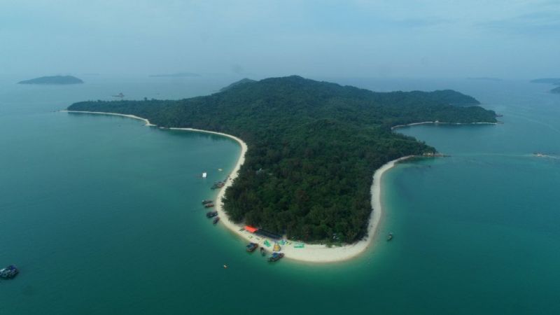 Các thành viên Hội đồng thẩm định đã bỏ phiếu và nhất trí thông qua Dự án thành lập khu bảo tồn biển Cô Tô, Đảo Trần