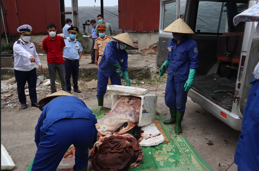 172 kg nội tạng động vật chứa trong các thùng xốp đã bị Lực lượng QLTT Phú Thọ thu giữ