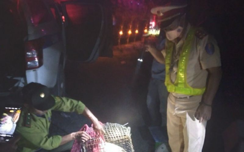 Đội CSGT số 2, Phòng CSGT Đường bộ - đường sắt, Công an tỉnh Quảng Nam phát hiện xe khách vận chuyển hai cá thể trăn nặng 35kg