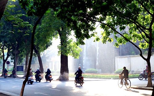 Dự báo thời tiết hôm nay, ngày 27/10: Miền Bắc bị ảnh hưởng bởi gió Đông, miền Trung mưa to