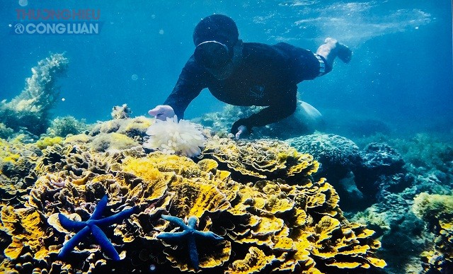 - Tác phẩm  “Khám phá đại dương” của nhiếp ảnh gia Nguyễn Tiến Dũng.