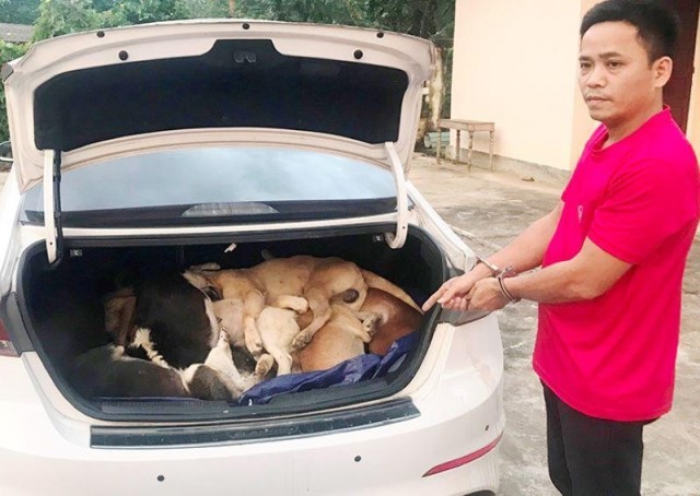 Đối tượng Ngô Bá Phát và tang vật. Đối tượng Ngô Bá Phát và tang vật.