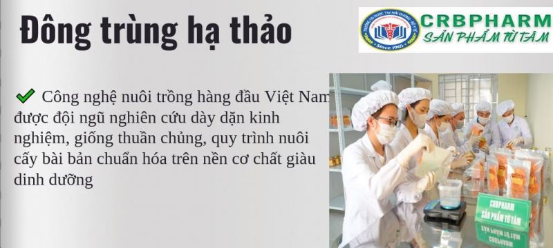 Đông trùng hạ thảo CRBPHARM - Thương hiệu Việt được nhiều người Việt tin dùng