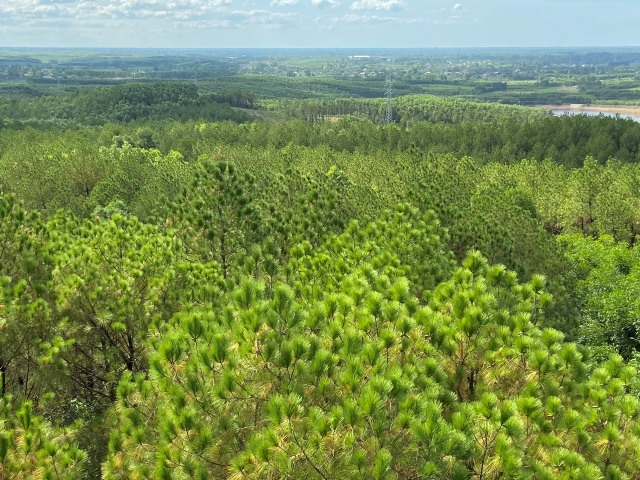 Thừa Thiên Huế: 5 Doanh nghiệp Nhà nước xếp loại A