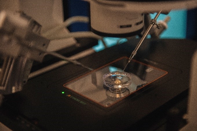 Kỹ thuật Thụ tinh trong ống nghiệm Kỹ thuật Thụ tinh trong ống nghiệm