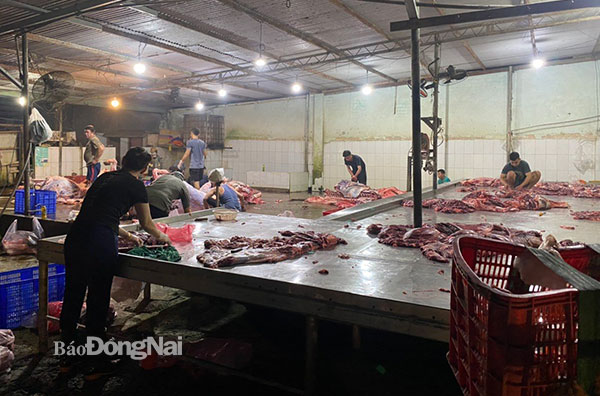 Cơ sở giết mổ bò trái phép bị phát hiện tại huyện Trảng Bom