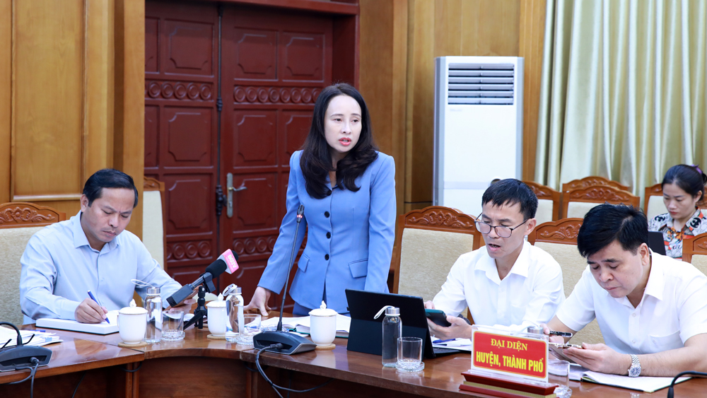 Bà Tống Thị Hương Giang nêu một số khó khăn trong triển khai các chương trình MTQG