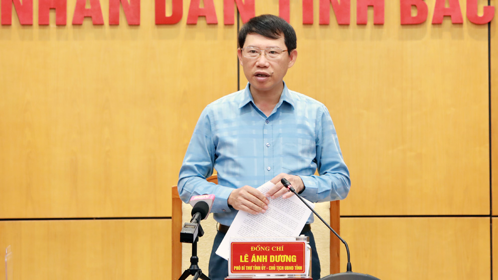 Ông Lê Ánh Dương Chủ tịch UBND tỉnh Bắc Giang, Trưởng BCĐ chủ trì kết luận tại hội nghị