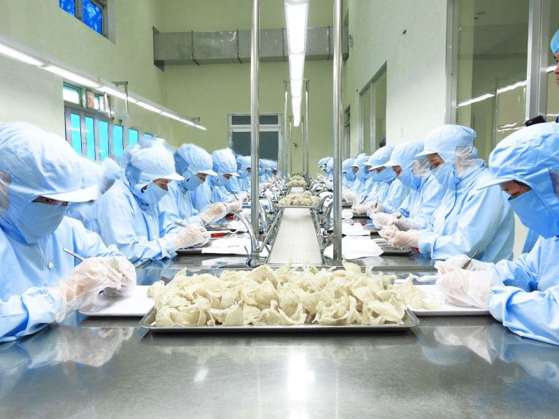 Khoai lang, tổ yến Việt Nam sẽ được xuất khẩu chính ngạch sang Trung Quốc